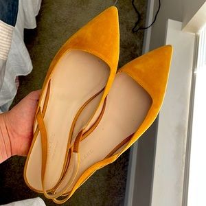 Everlane The Editor slingback flats